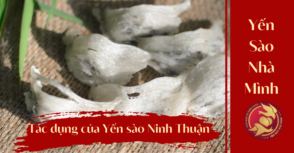 yến sào Ninh Thuận