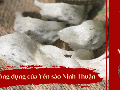 Công dụng của Yến sào Ninh Thuận