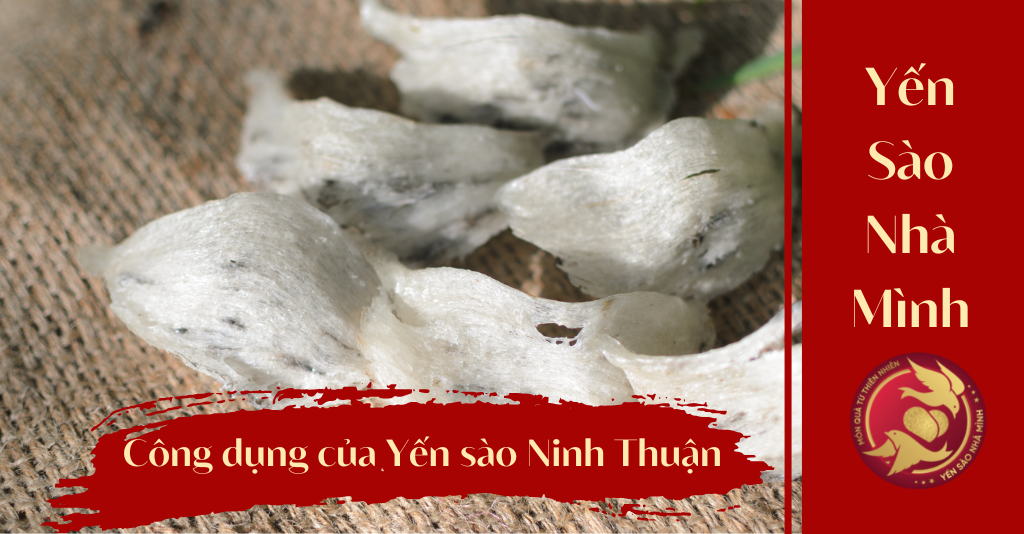 Công dụng của Yến sào Ninh Thuận